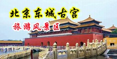 肏浪女的骚屄中国北京-东城古宫旅游风景区